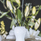 Coco Ceramic Vase & Diffuser Refill - Black Reeds