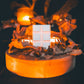 Autumn Edit Wax Melts